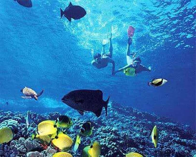 Puerto Plata: Cayo Arena Tour with Snorkeling and Mangroves - From Puerto Plata hotels to Punta Rucia