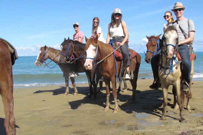 Puerto Plata City Horseback Riding Tour ,Rios,Beaches and Countryside - Key points at a glance