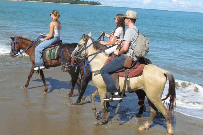 Puerto Plata City Horseback Riding Tour ,Rios,Beaches and Countryside - Service details worth knowing before booking