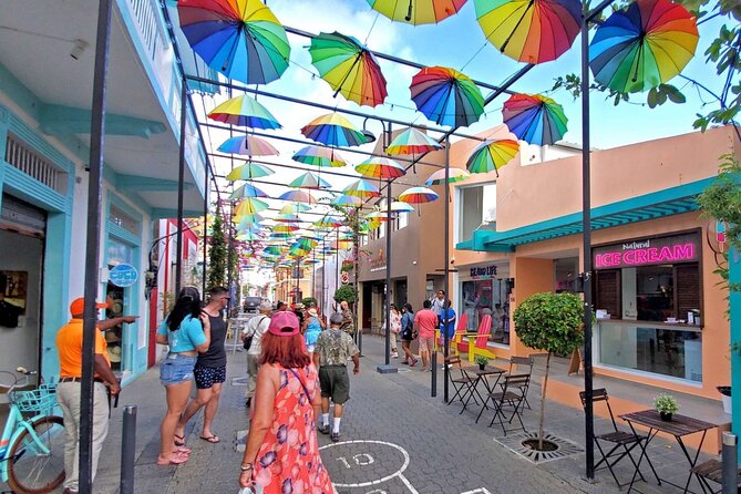 Puerto Plata City Tour Amber Cove Taino Bay Hotels - Coffee, chocolate, fruit, and Dominican flavors