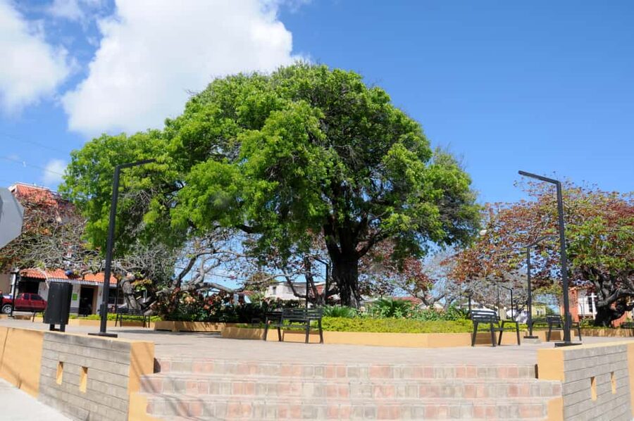 Puerto Plata City Tour and Cable Car Ride - Lunch, Drinks, and the $65 Price