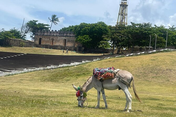 Puerto Plata City Tour Ron Puros Culture and History - Catedral San Felipe and a look at central city life