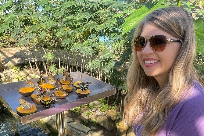 Puerto Plata City Tour with Butterfly Garden - Why this Puerto Plata tour works well for a first visit