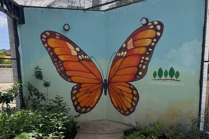 Puerto Plata City Tour with Butterfly Garden - Catedral San Felipe and the city’s older center