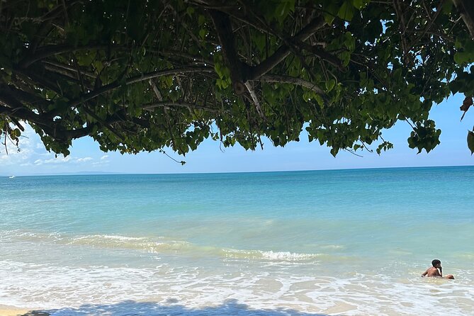 Puerto plata city tour with local lunch with countryside - Timing, Transport, and Cruise-Day Practicalities