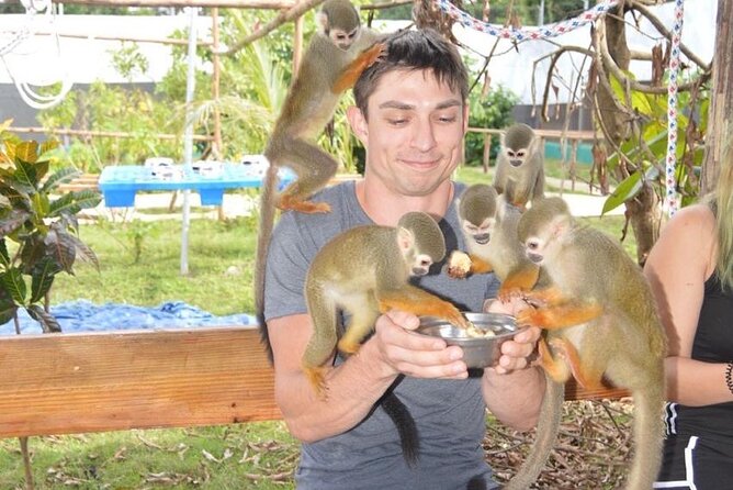 Puerto Plata City Tour with Monkeys - Key points at a glance