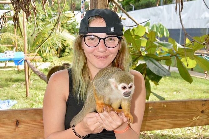 Puerto Plata City Tour with Monkeys - Puerto Plata in four hours, with monkeys at the finish
