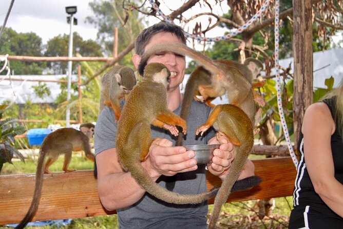 Puerto Plata City Tour with Monkeys - Along the seawall to Neptune