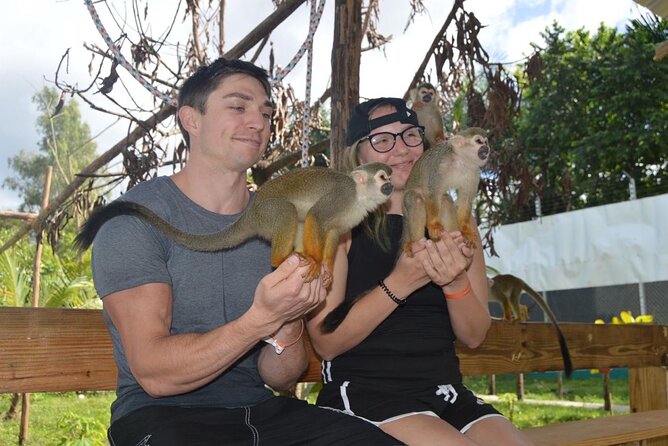 Puerto Plata City Tour with Monkeys - What the $99 price really buys