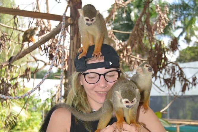 Puerto Plata City Tour with Monkeys - Who should book this morning outing?