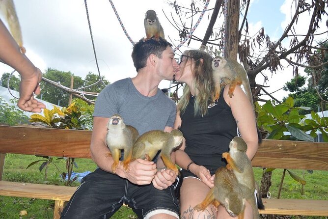 Puerto Plata City Tour with Monkeys - Starting with Puerto Plata’s local products