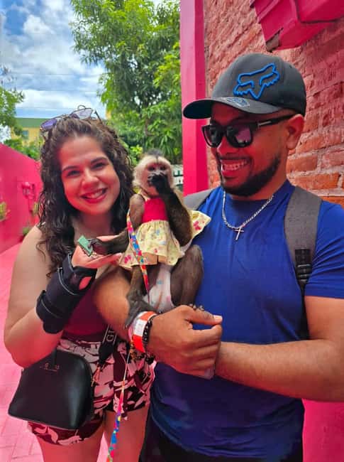 Puerto Plata: City Tour with Rum and Chocolate Factories - Comfort and accessibility in real use