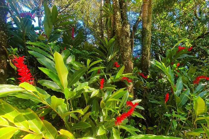 Puerto Plata City Tour with the Mount Isabel, Rum & Chocolate - Why this Puerto Plata tour works well in one day