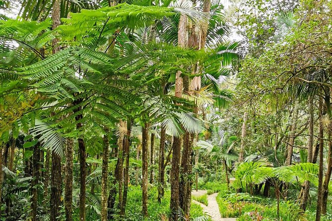 Puerto Plata City Tour with the Mount Isabel, Rum & Chocolate - Rum, sugarcane, and the Macorix tasting