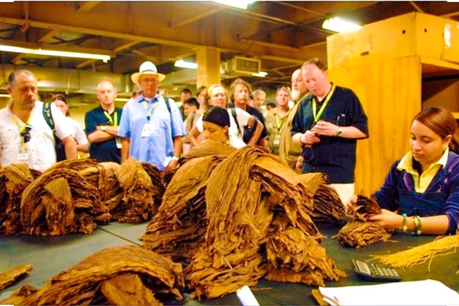 Puerto Plata City Tours - Seeing cigars made by hand