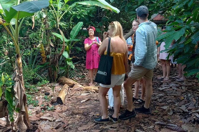 Puerto Plata Cultural City Tour – Half Day Experience - Camacho Beach offers a quieter break
