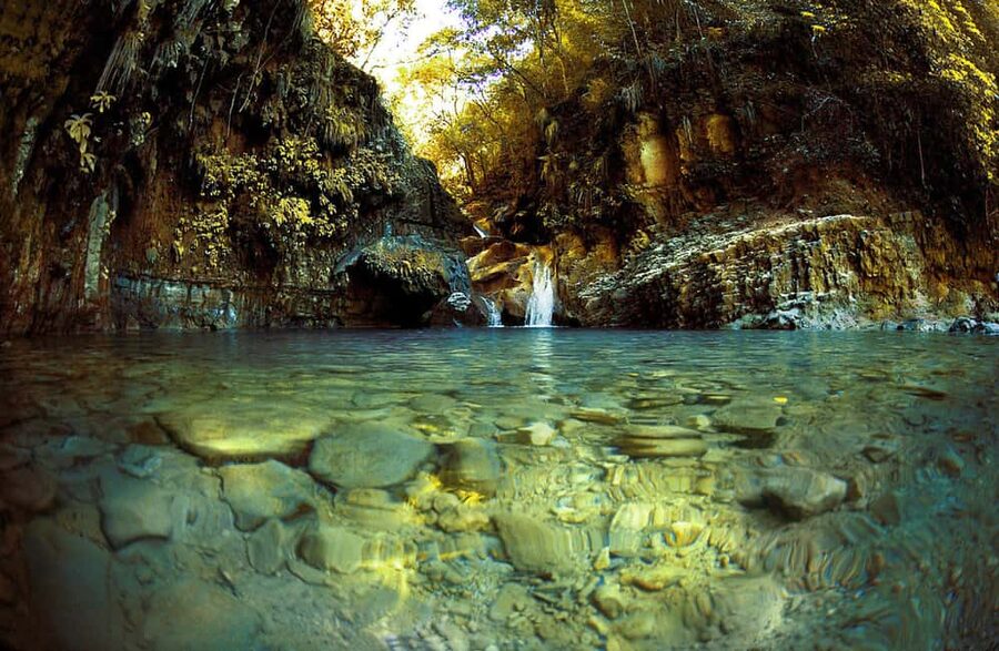 Puerto Plata: Damajagua Waterfalls Full-Day Adventure - The rainforest trail takes real effort