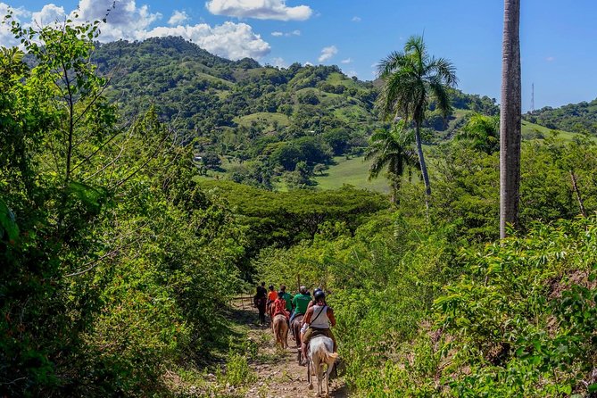 Puerto Plata: Damajagua waterfalls + Safari buggy + Horseback riding (TOP3IN1) - What the waterfall portion demands from you