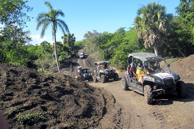 Puerto Plata: Damajagua waterfalls + Safari buggy + Horseback riding (TOP3IN1) - Who will enjoy this day most