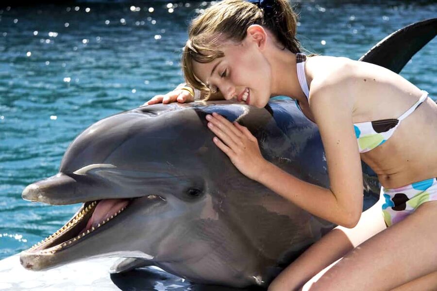 Puerto Plata: Dolphin Encounter at Ocean World - Key points to know before booking