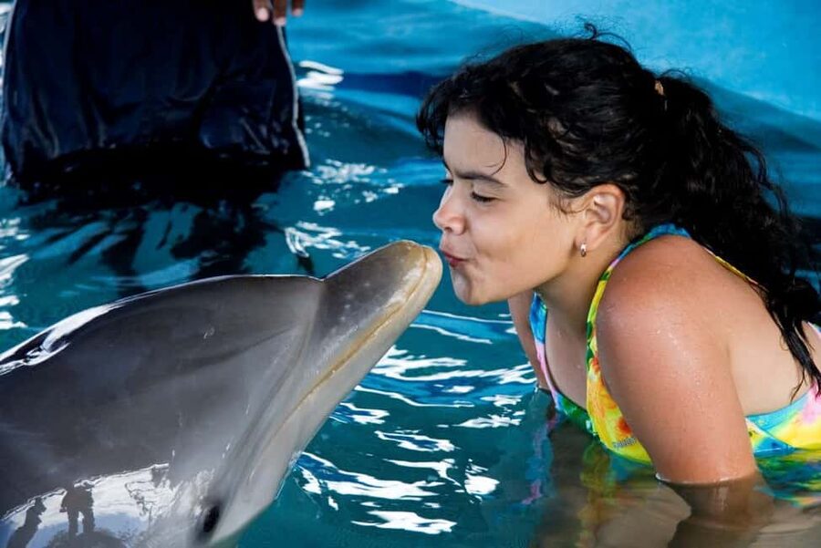 Puerto Plata: Dolphin Encounter at Ocean World - Meeting a dolphin in waist-deep water