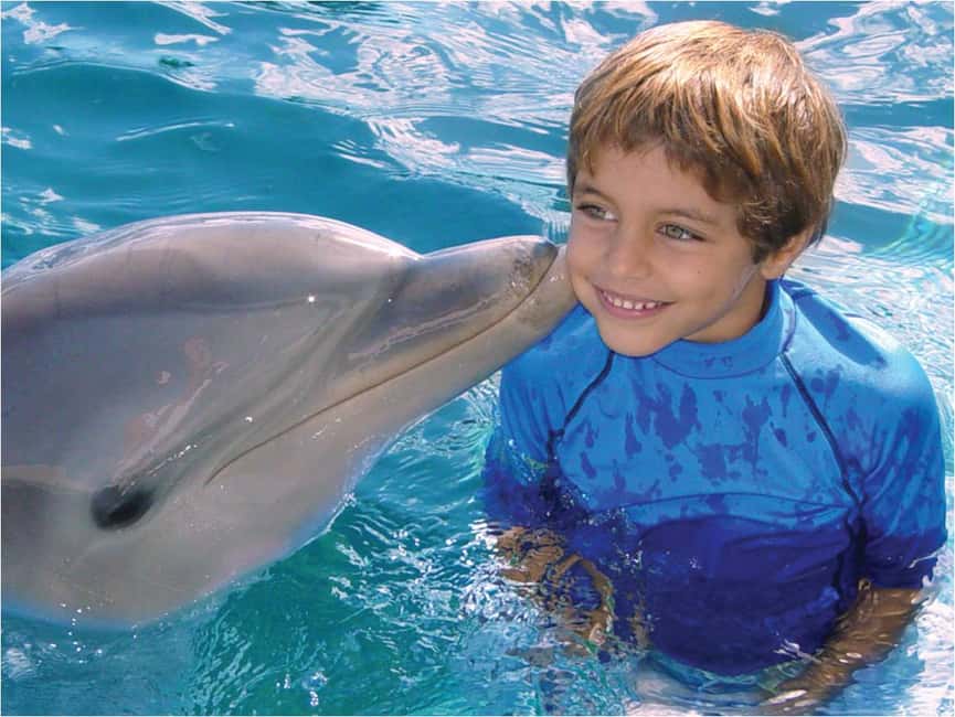 Puerto Plata: Dolphin Encounter at Ocean World - Tropical Reef snorkeling: set expectations correctly