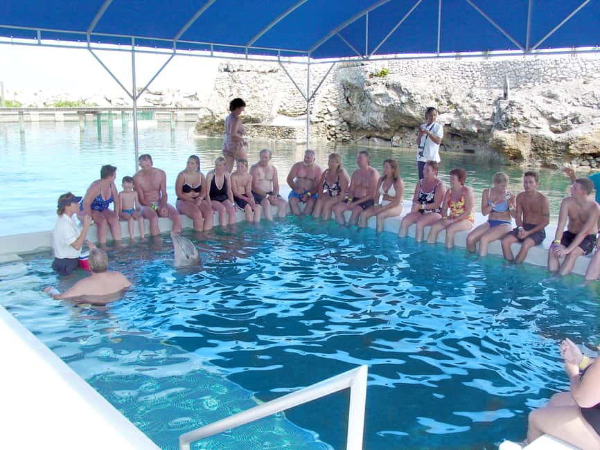 Puerto Plata: Dolphin Encounter at Ocean World - Shows, birds, iguanas, and the rainforest exhibit
