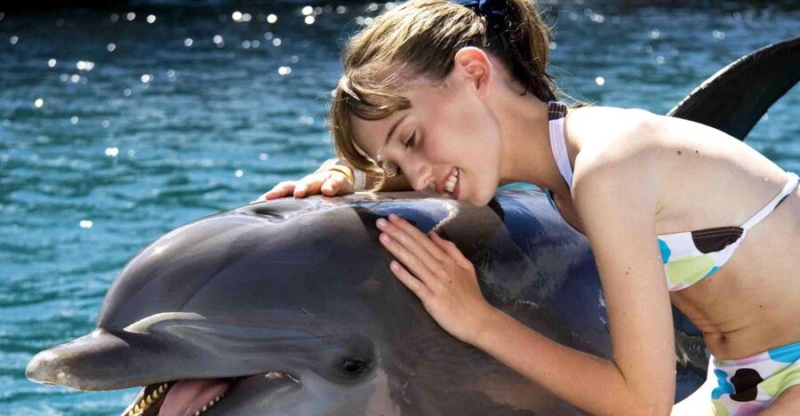 Puerto Plata: Dolphin Encounter at Ocean World - How the transportation and timing affect the value