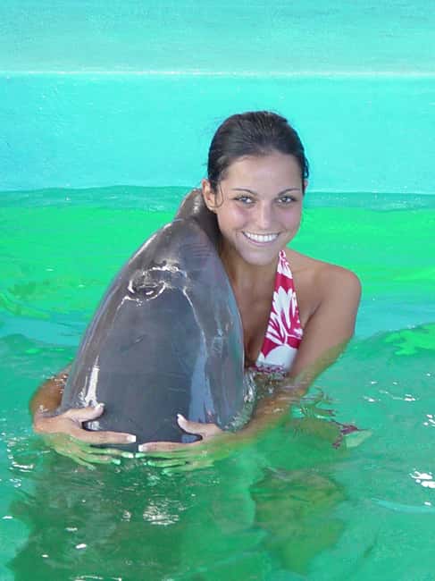 Puerto Plata: Dolphin Encounter at Ocean World - A full day beyond the dolphin pool