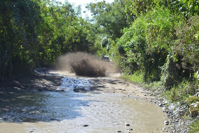 Puerto Plata Dune Buggy Adventure - Amber cove & Taino Bay - Behind the Wheel: Mud, Water, and Basic Buggy Driving