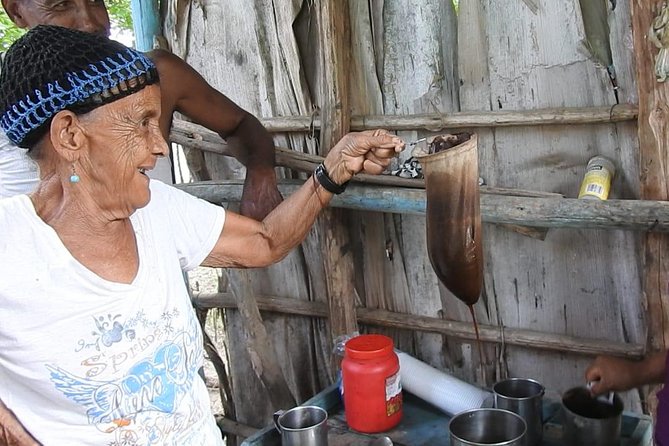 Puerto Plata: Escapada Cultural Tour in Puerto Plata - The Melasa bread factory and a countryside home