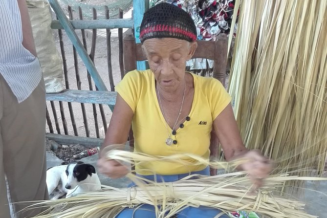 Puerto Plata: Escapada Cultural Tour in Puerto Plata - What the $78 price includes