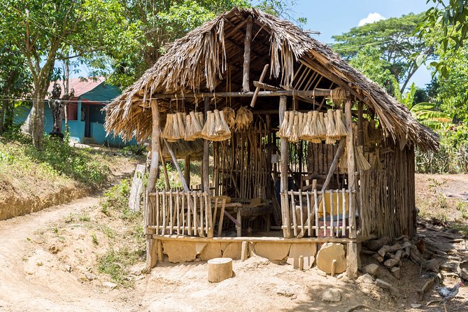 Puerto Plata: Escapada Cultural Tour in Puerto Plata - Starting at 9:30 a.m. with a private vehicle