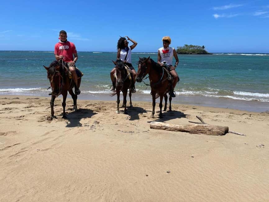 Puerto Plata: Horseback Riding Tour - Key points to know before you book