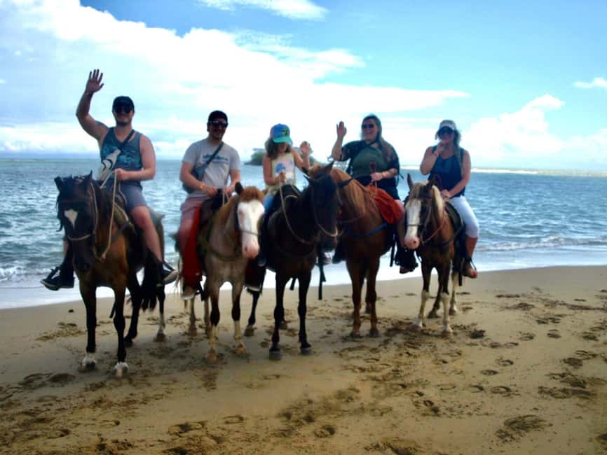 Puerto Plata: Horseback Riding Tour - Cruise-port pickup at Amber Cove and Taino Bay