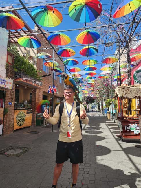 Puerto Plata: Monkey Tour, Fortress, and Historic Center - Monkey Home and the squirrel monkeys