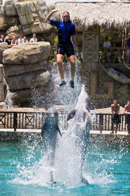 Puerto Plata: Ocean World Adventure Park Day Pass - The big attraction at Ocean World Puerto Plata