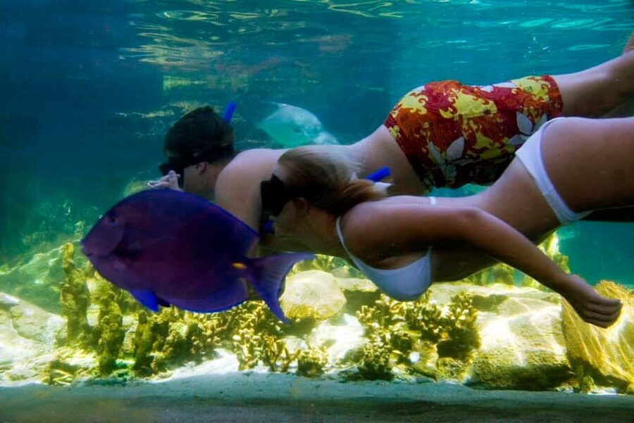 Puerto Plata: Ocean World Adventure Park Day Pass - Tropical Reef snorkeling and Pirate’s Pool
