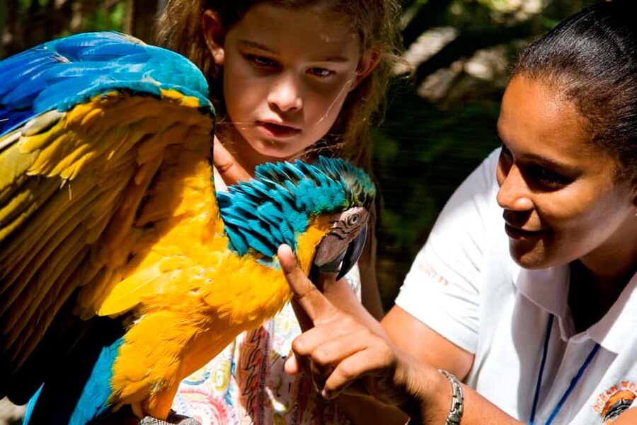 Puerto Plata: Ocean World Adventure Park Day Pass - Lunch, loungers, and time at Dolphin Beach