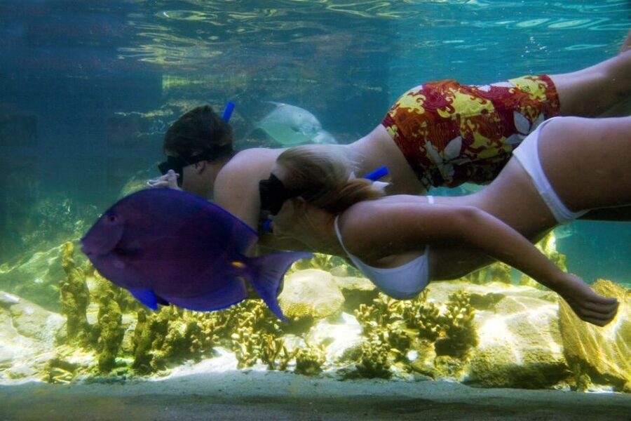 Puerto Plata: Ocean World Adventure Park Day Pass - Who will enjoy this day most
