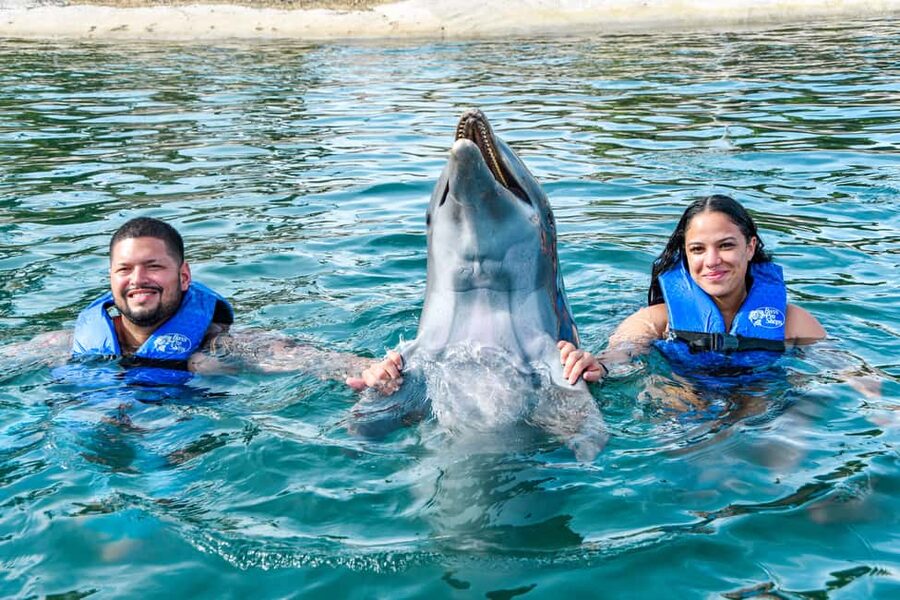 Puerto Plata: Ocean World Adventure Park Swim with Dolphins - Key points to know before booking