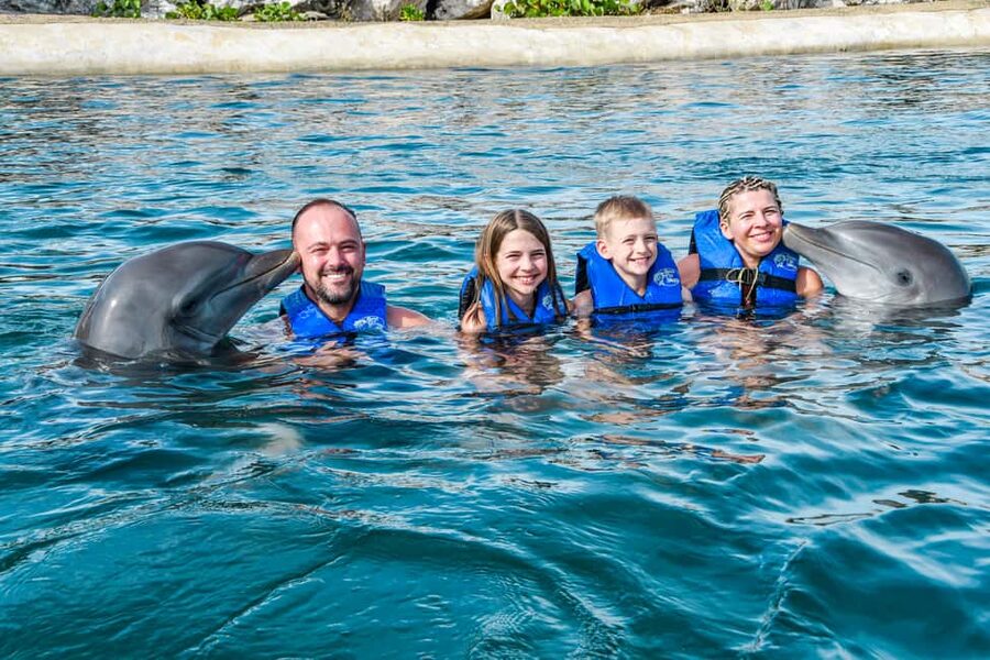 Puerto Plata: Ocean World Adventure Park Swim with Dolphins - Sea lions, birds, sharks, and iguanas