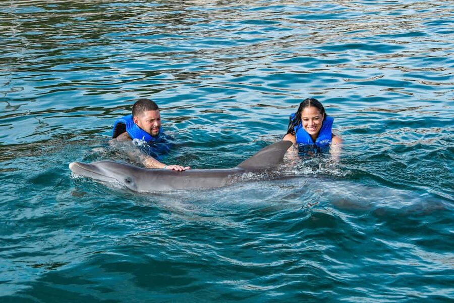 Puerto Plata: Ocean World Adventure Park Swim with Dolphins - A full park day, not only a dolphin swim
