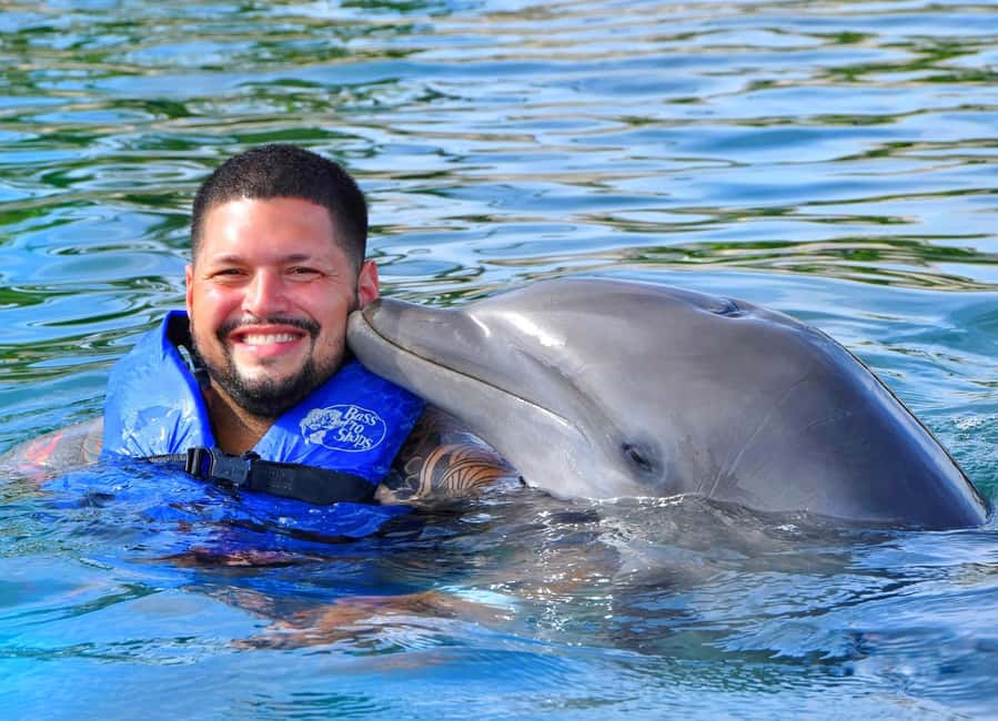 Puerto Plata Ocean World Dolphin Swim - Key points to know before booking