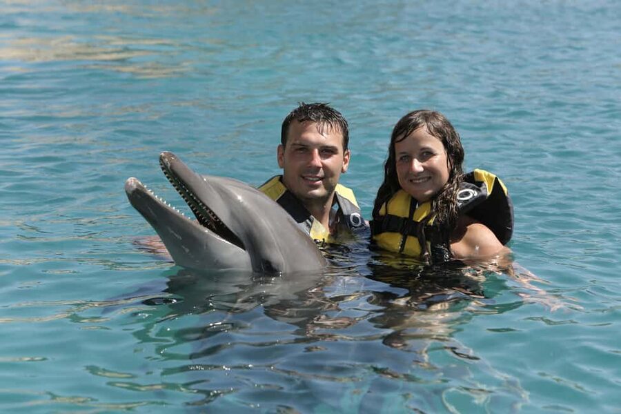Puerto Plata Ocean World Dolphin Swim - The dolphin swim is the reason to go