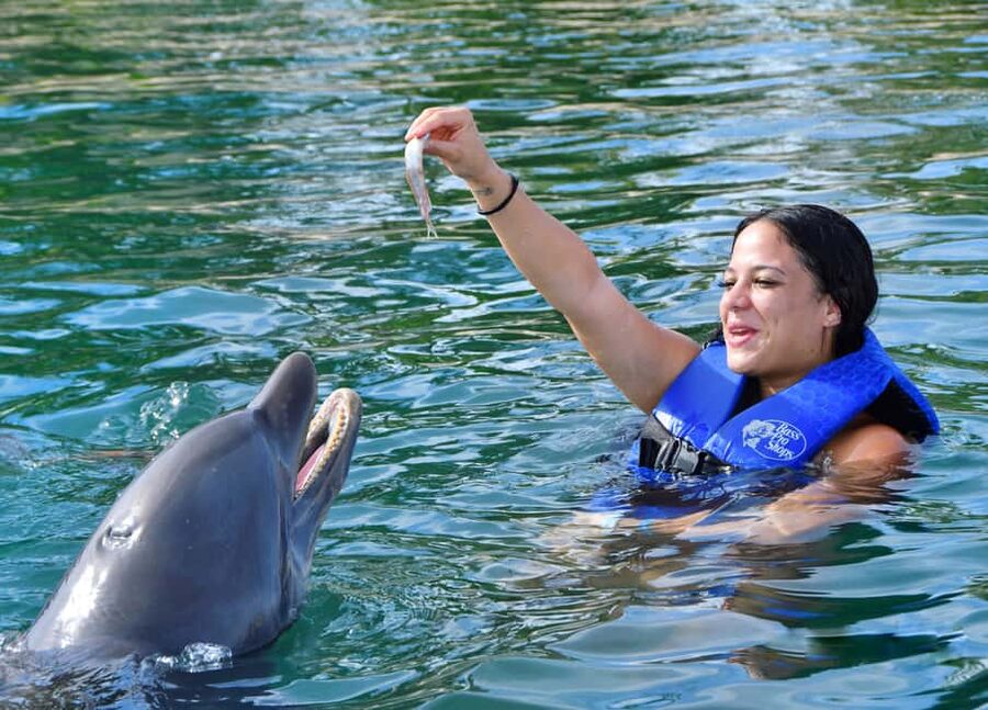 Puerto Plata Ocean World Dolphin Swim - Tropical Reef Aquarium adds a different kind of water time