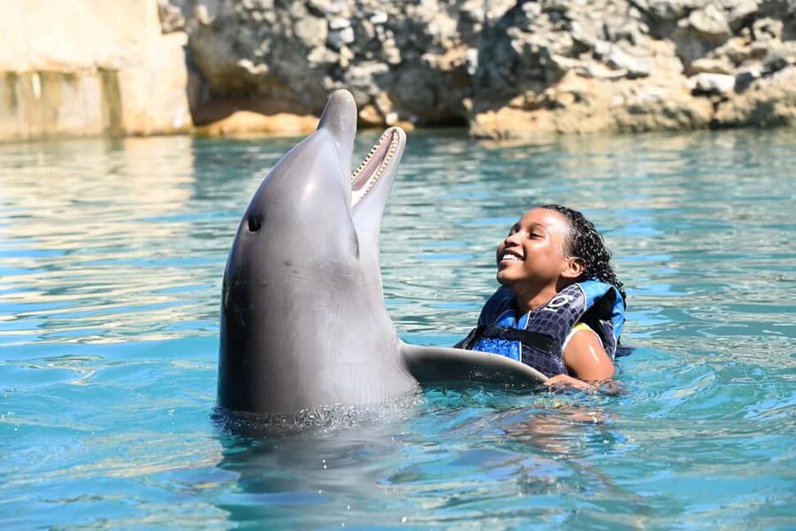 Puerto Plata Ocean World Dolphin Swim - What your 8.5-hour day looks like