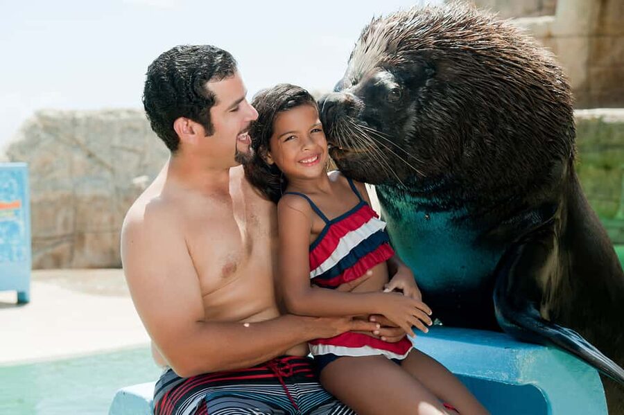 Puerto Plata Ocean World Tickets - The sea lion encounter at Ocean World