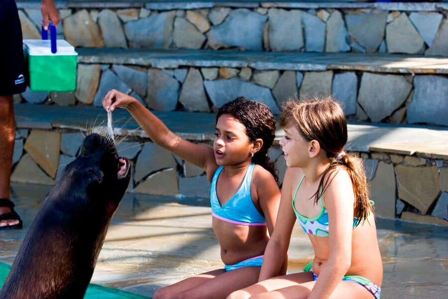Puerto Plata Ocean World Tickets - Dolphin, shark, and tropical bird shows