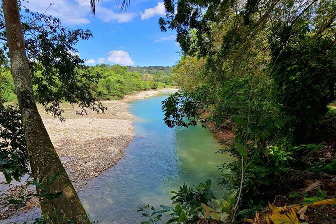 Puerto Plata Rejoya River Excursion Amber Cove Taino Bay Hotels - Reaching La Rejoya River from Puerto Plata